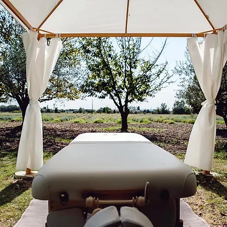 לינה וארוחת בוקר Les Champs De Provence La Baume-de-Transit